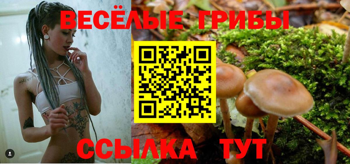 Галлюциногенные грибы Magic Shrooms Кемерово